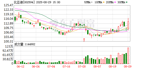 比亚迪上半年营收超3712亿元：研发投入接近净利润两倍，海外市场成新增长极
